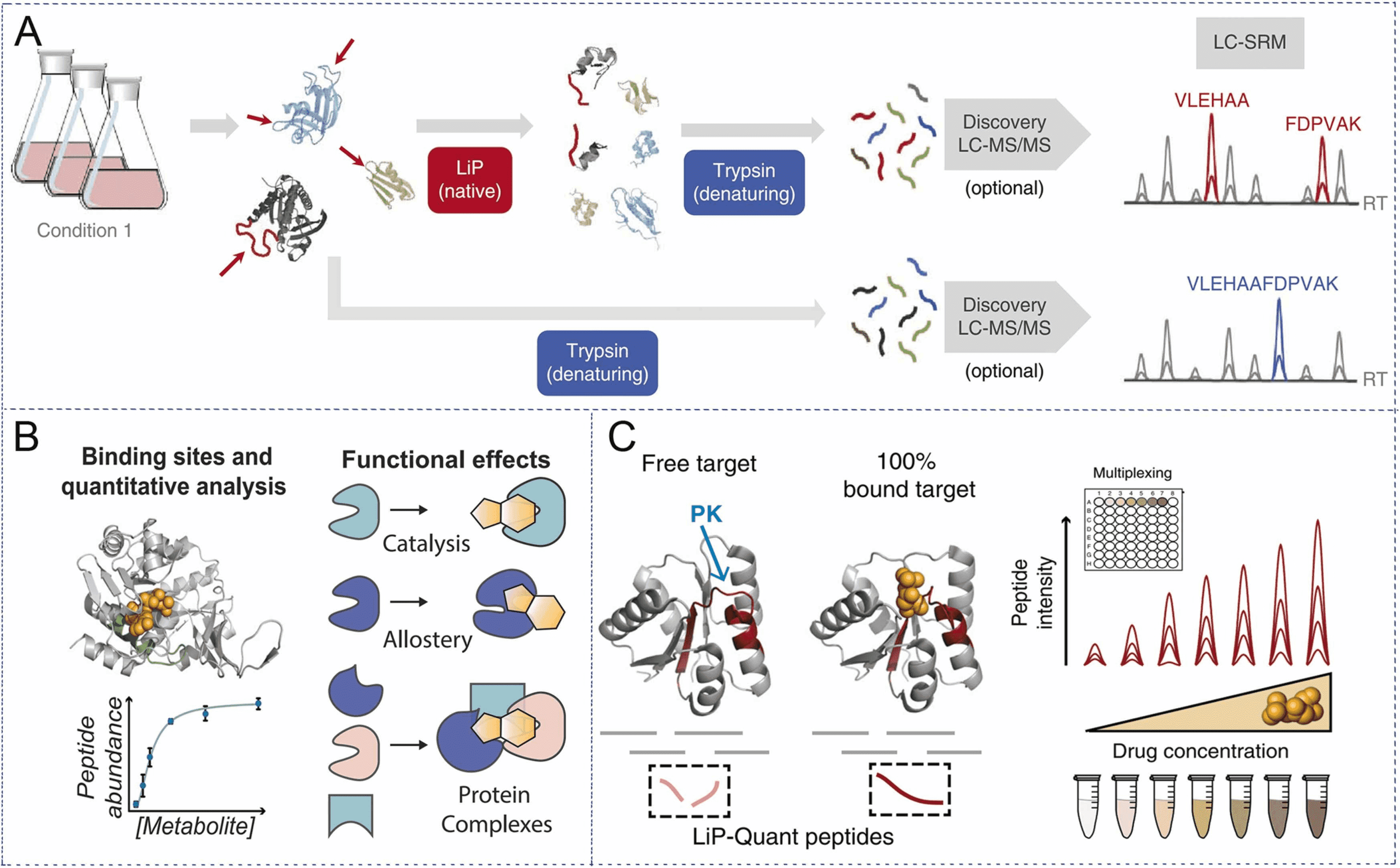 limited-proteolysis-mass-spectrometry-lip-ms1.png