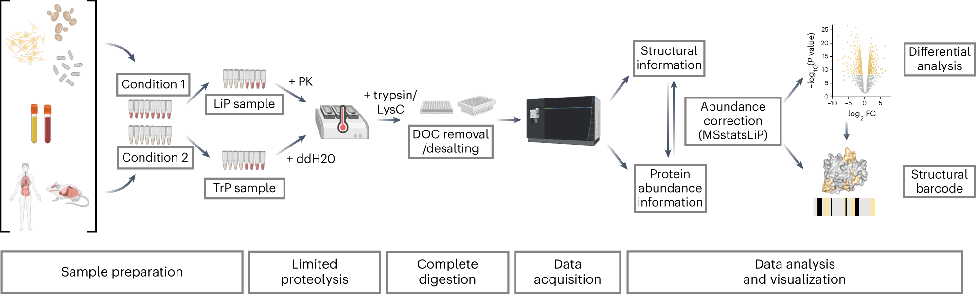 limited-proteolysis-mass-spectrometry-lip-ms3.png