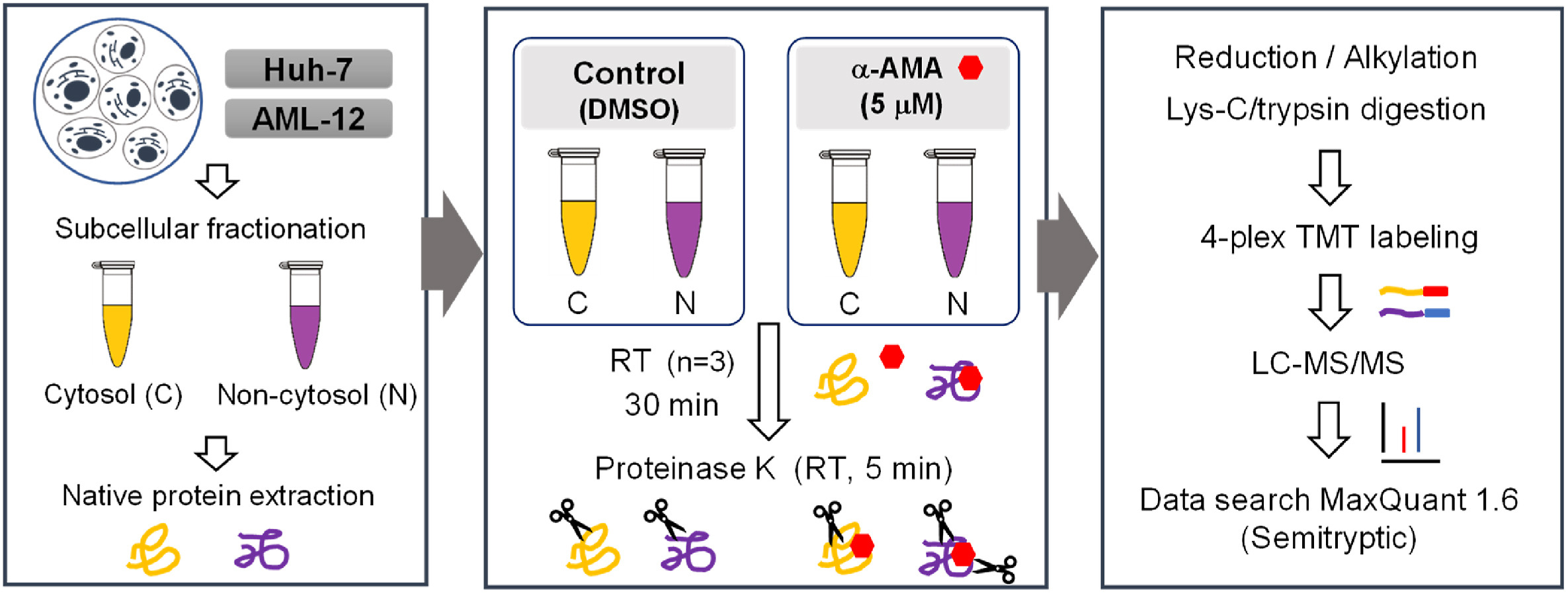 limited-proteolysis-mass-spectrometry-lip-ms5.png