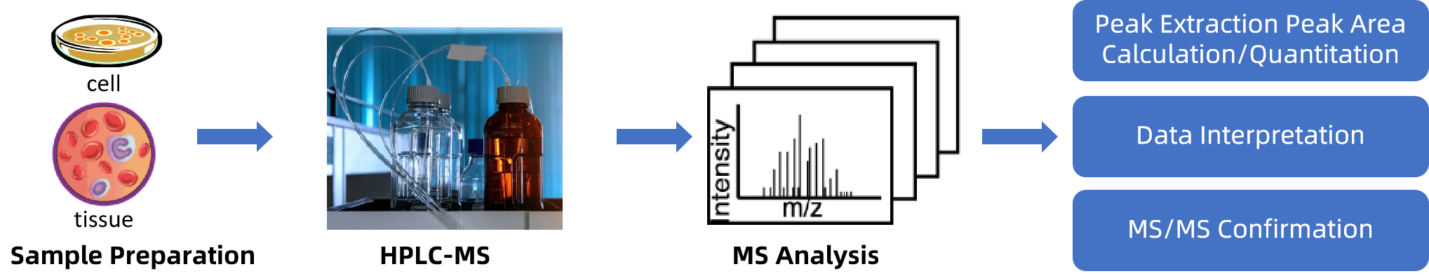 lipoic-acid-metabolism-service2.png