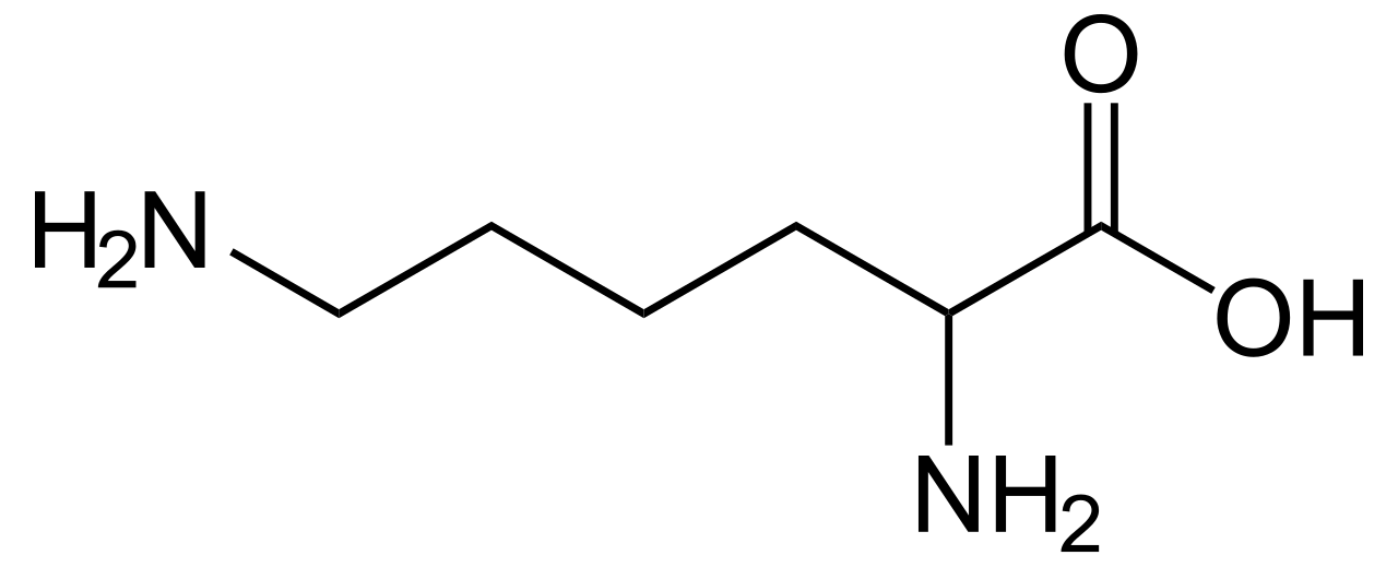 lysine-analysis-service1.png