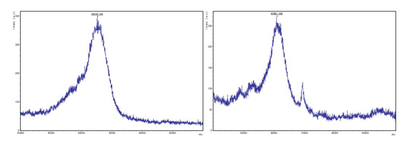 maldi-molecular-weight-identification3.png