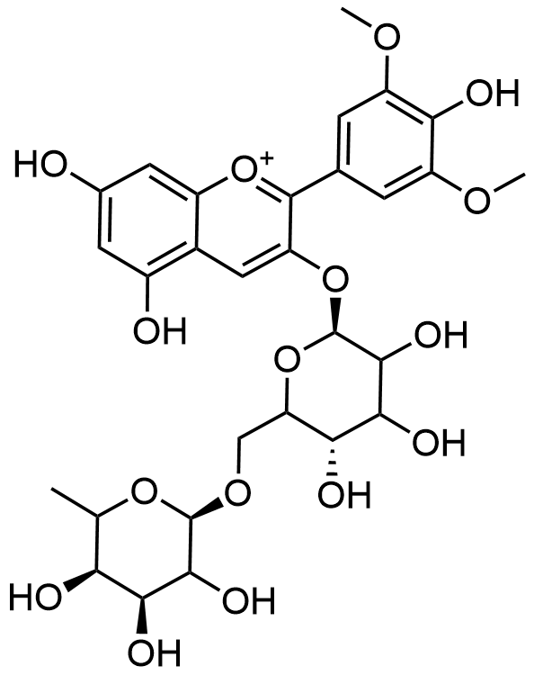 malvidin-3-o-rutinoside-analysis-service1.png