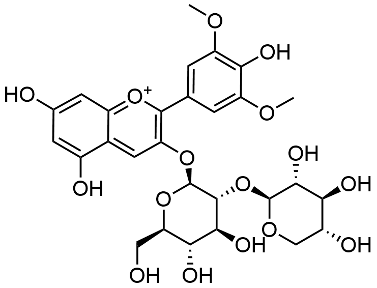 malvidin-3-o-sambubioside-analysis-service1.png