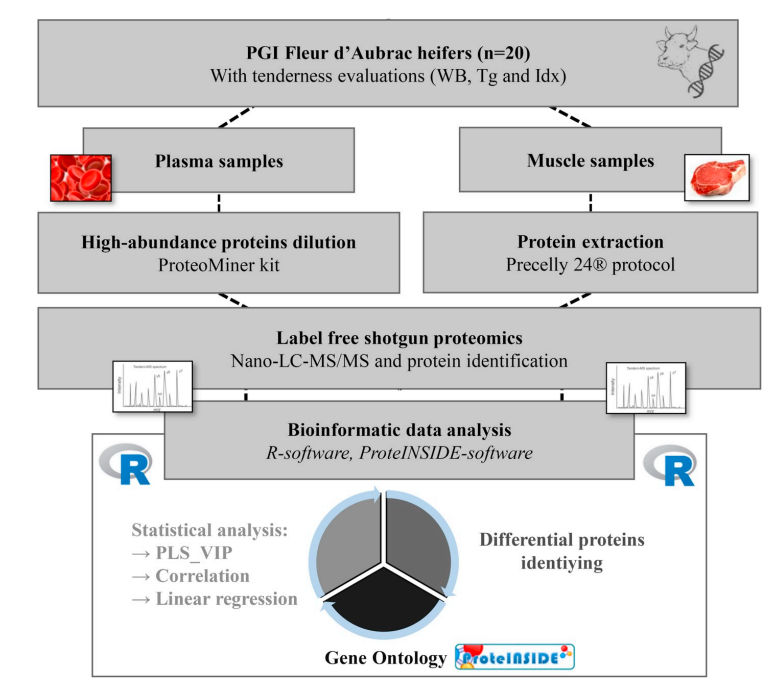 meat-biomarkers-analysis1.PNG