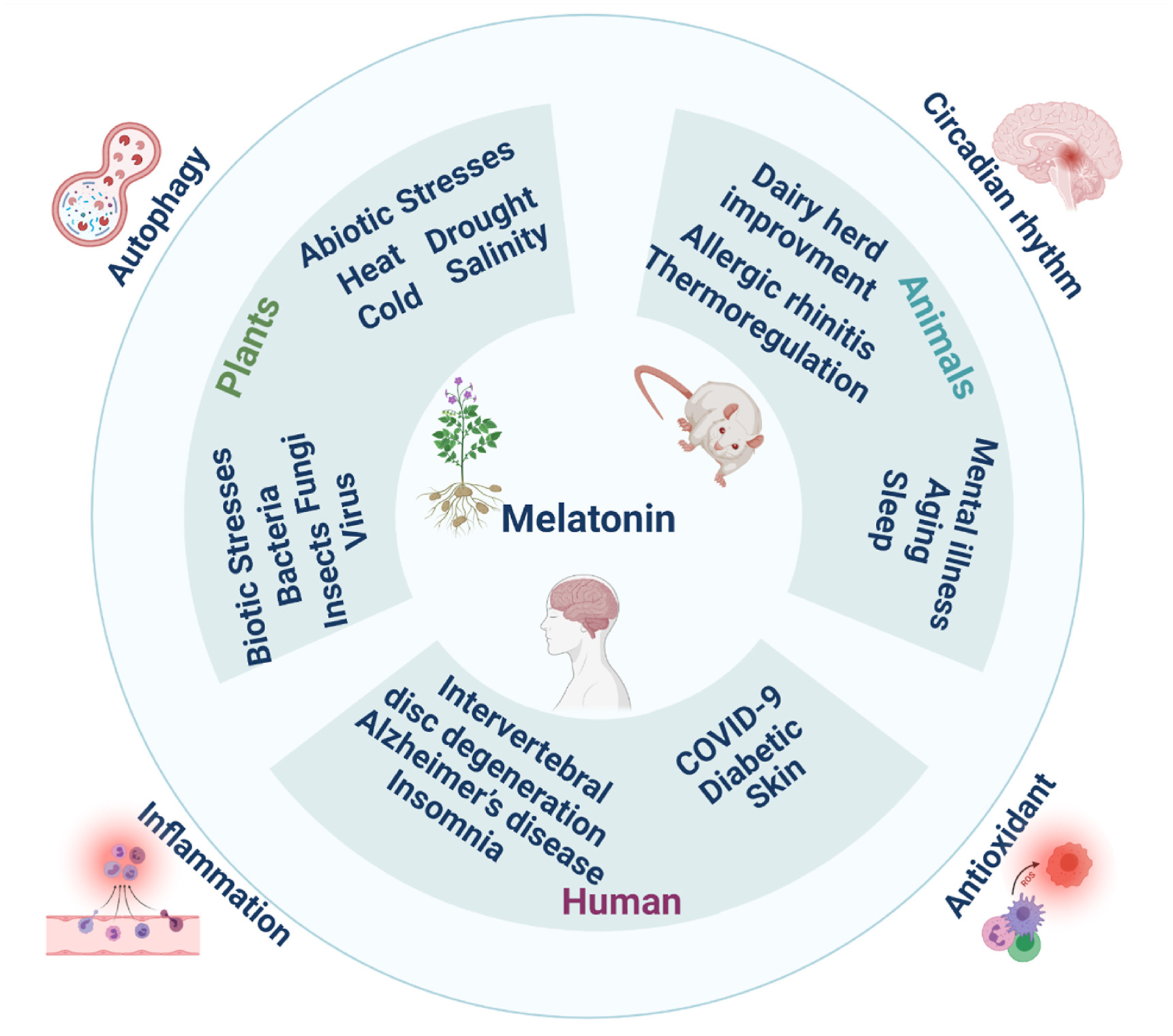 melatonin-analysis-service1.jpg