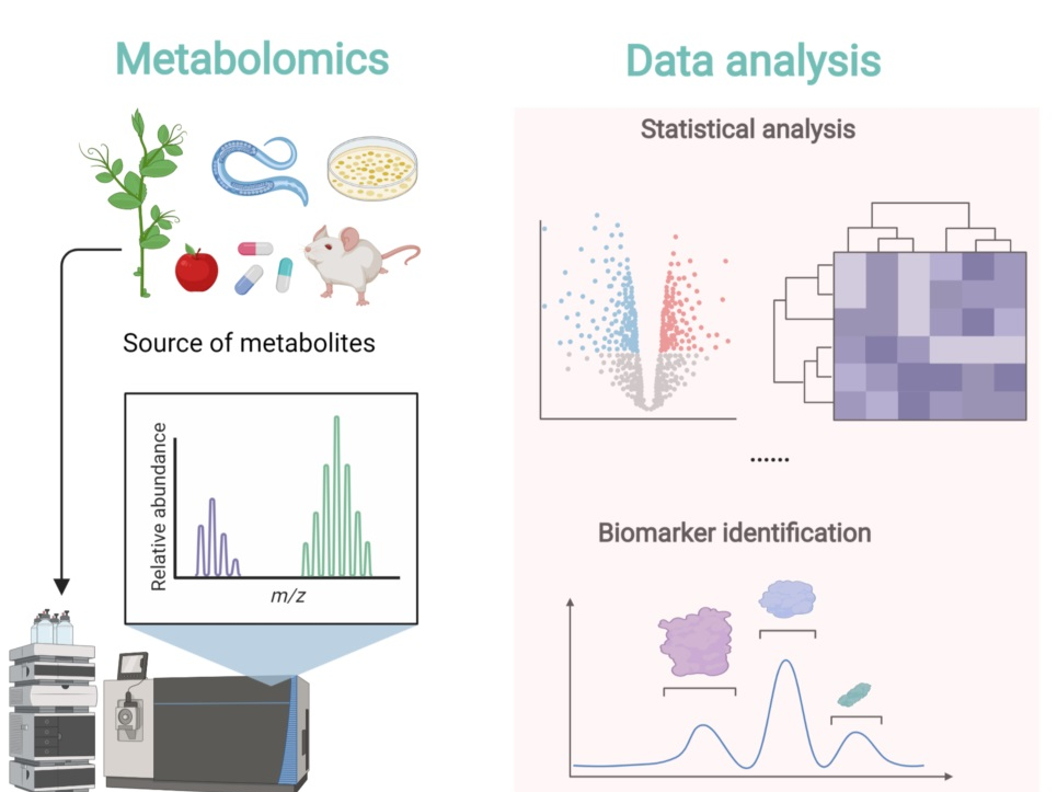 metabolomics-data-analysis1.png