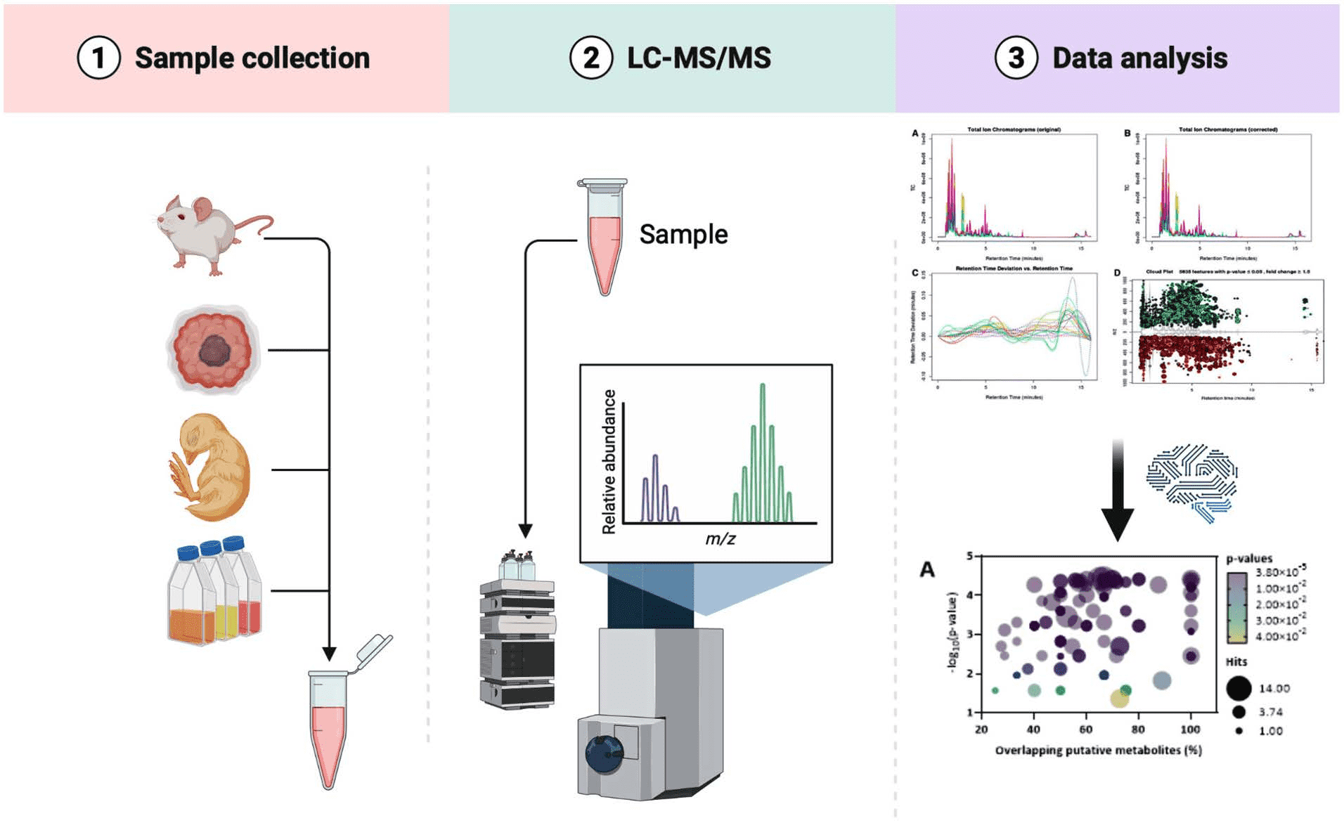 metabolomics-service1.png