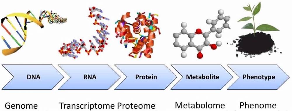 metabolomics1.jpg