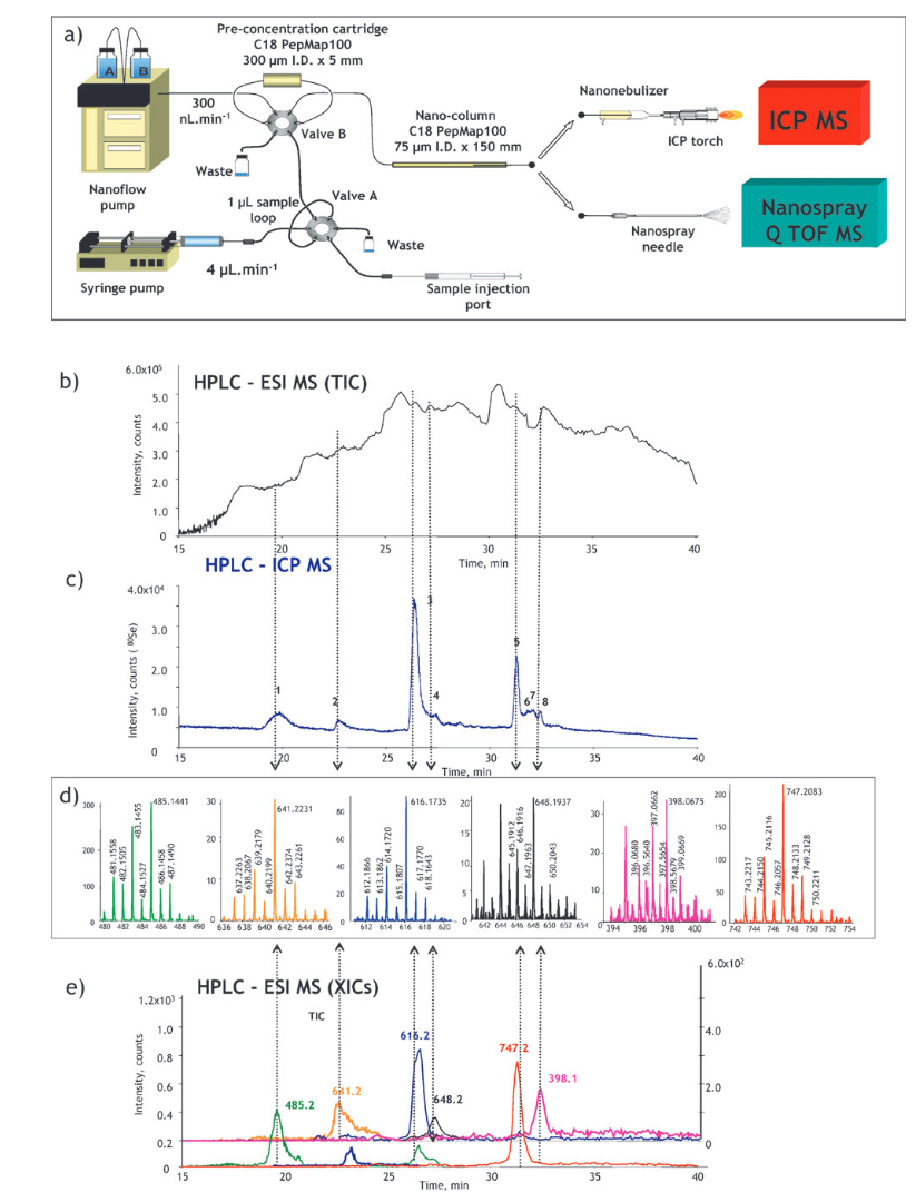 metal-metallomics-analysis-analysis1.PNG