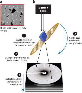 micro-crystal-electron-diffraction1.png