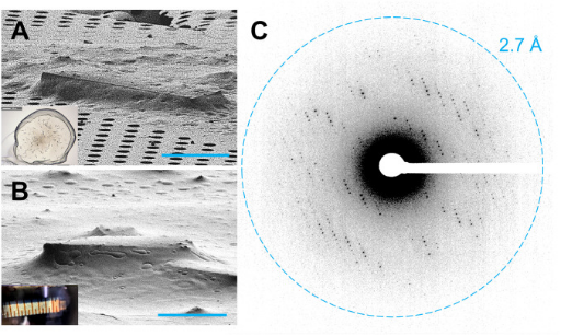 micro-crystal-electron-diffraction10.png