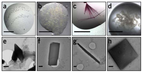 micro-crystal-electron-diffraction3.png