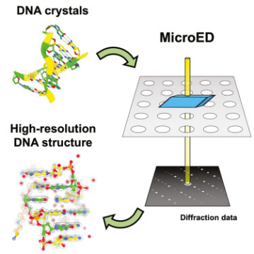 micro-crystal-electron-diffraction8.png