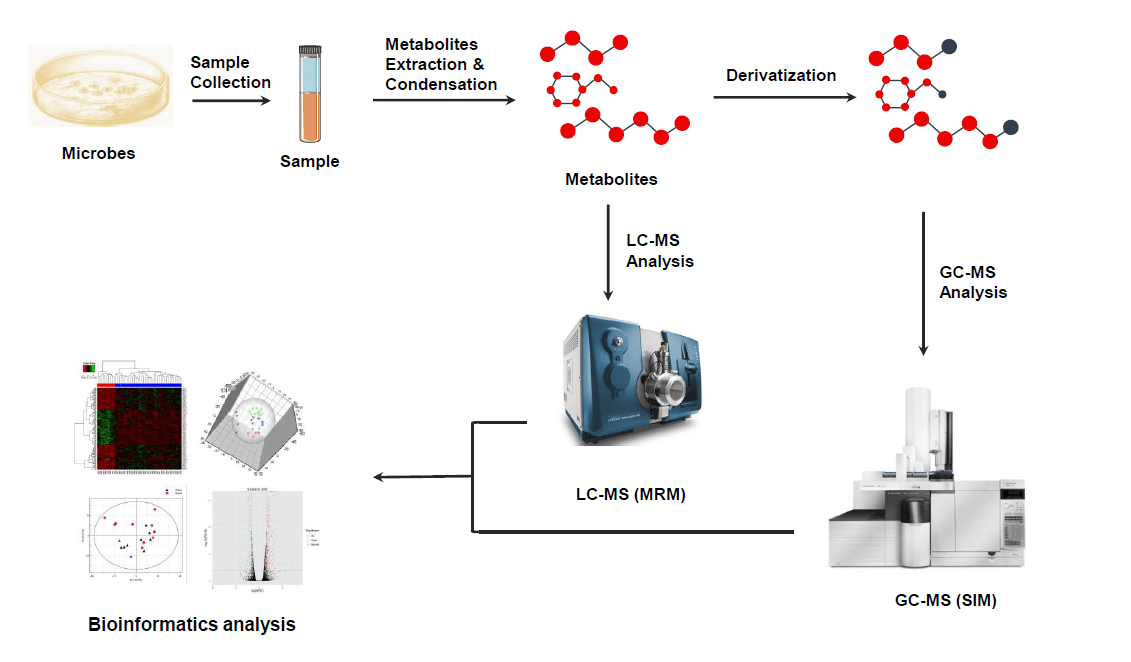 microbial-metabolomics-analysis-service1.png