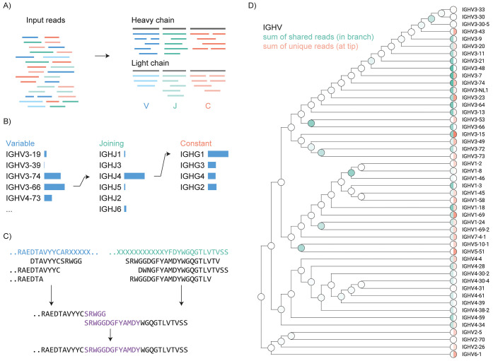 mono-poly-clonal-antibody-de-novo-sequencing-for-drug-r-and-d6.png