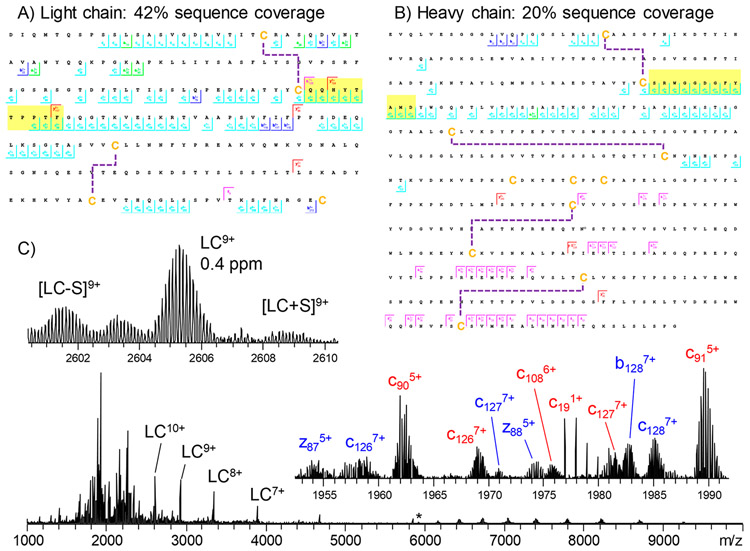 mono-poly-clonal-antibody-de-novo-sequencing-for-drug-r-and-d7.png