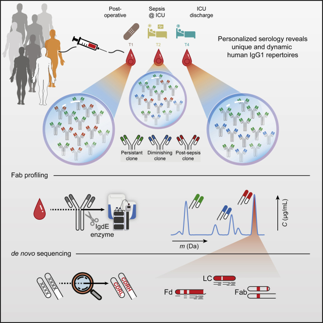 mono-poly-clonal-antibody-de-novo-sequencing-for-drug-r-and-d8.png