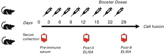 monoclonal-sequencing-and-recombinant-expression-of-cell-lines1.png