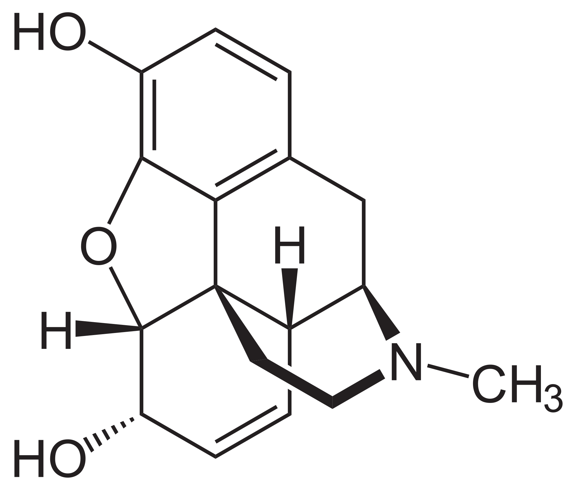 morphine-analysis-service1.png