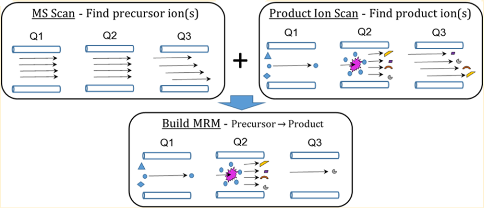 mrm-analysis-service1.PNG