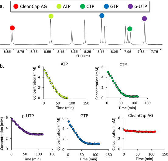 mrna-drug-analysis6.png