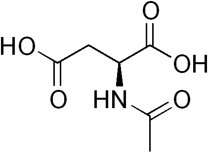 n-acetylaspartate-analysis-service1.png