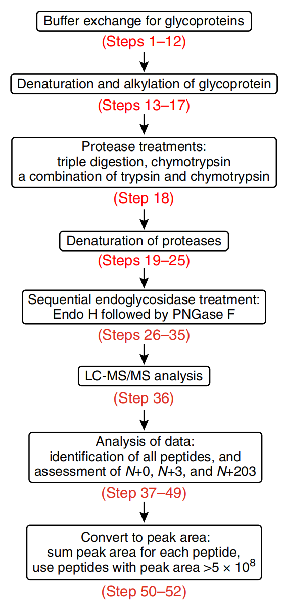 n-glycan-modification-and-modification-site-analysis-service1.PNG