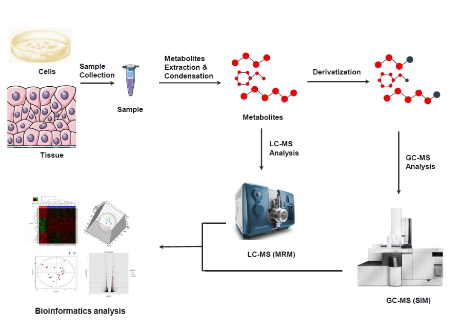 non-targeted-metabolomics-service1.png