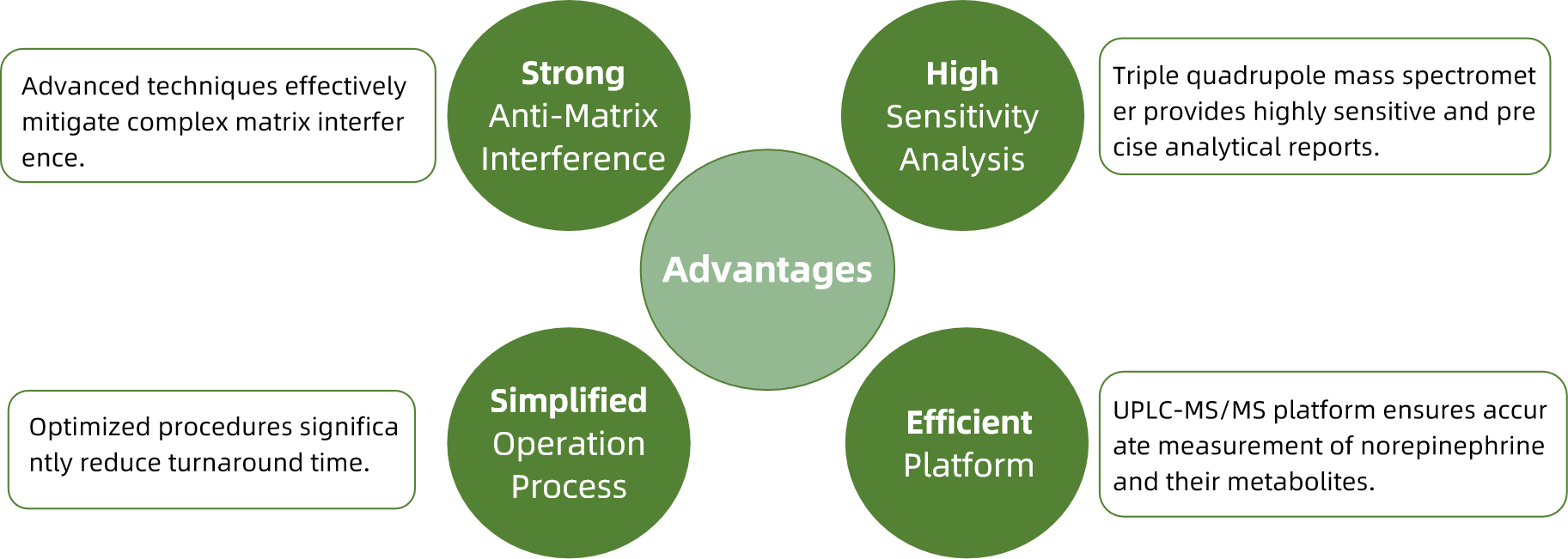 norepinephrine-analysis-service3.png