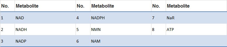 nucleotides2.png