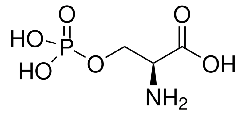 o-phospho-l-serine-analysis-service1.png