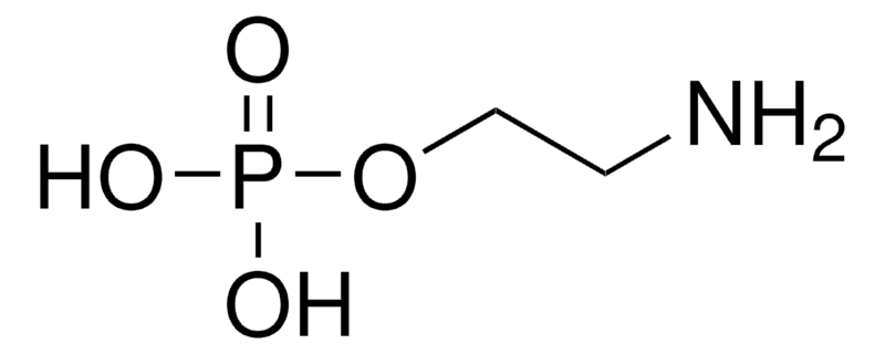 o-phosphorylethanolamine-analysis-service1.png