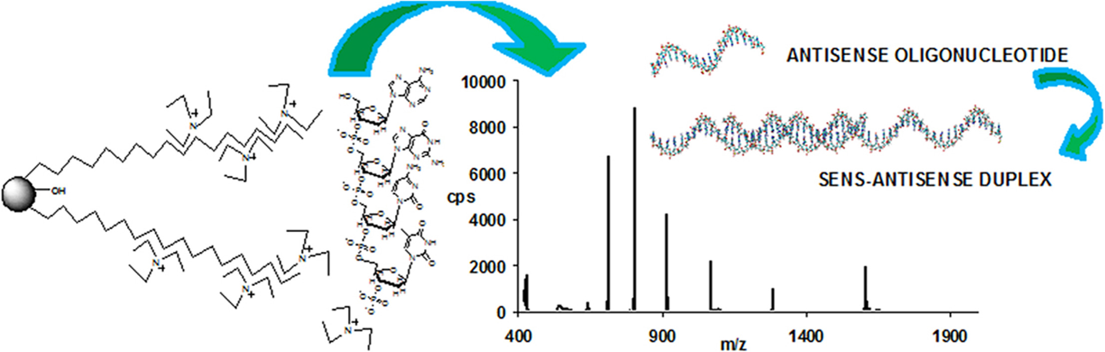 oligonucleotide-mw-analysis1.png