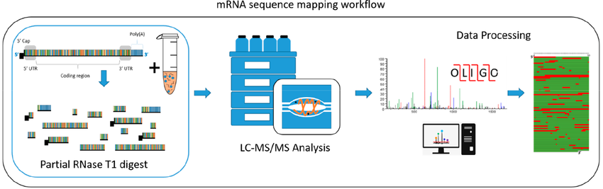 oligonucleotide-sequence-analysis1.png