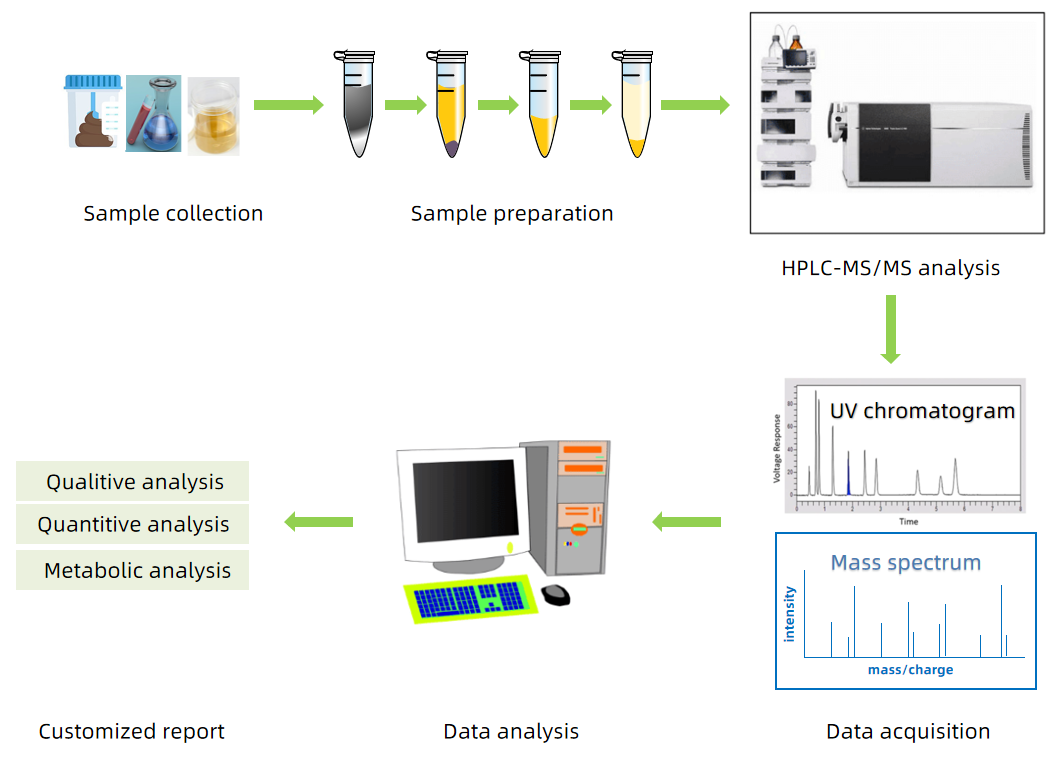 organic-acids-analysis1.PNG