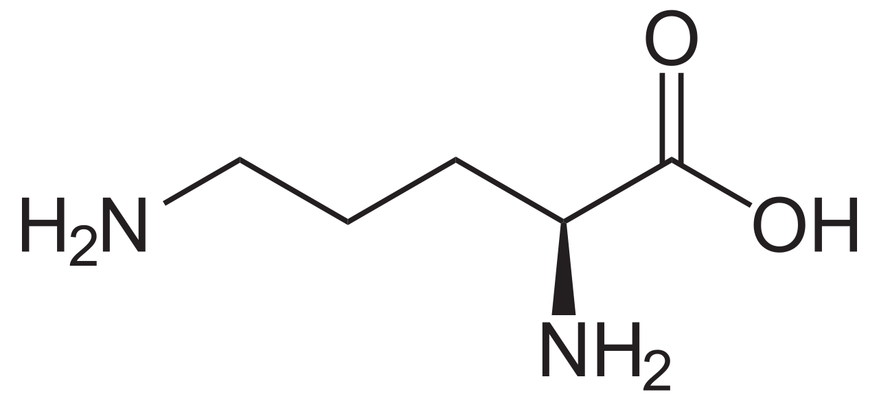 ornithine-analysis-service1.png