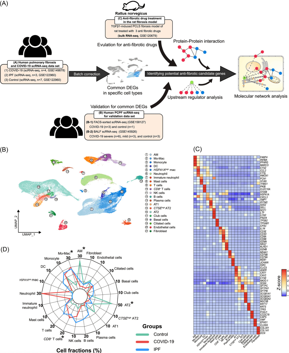 other-applications-of-single-cell-sequencing11.png