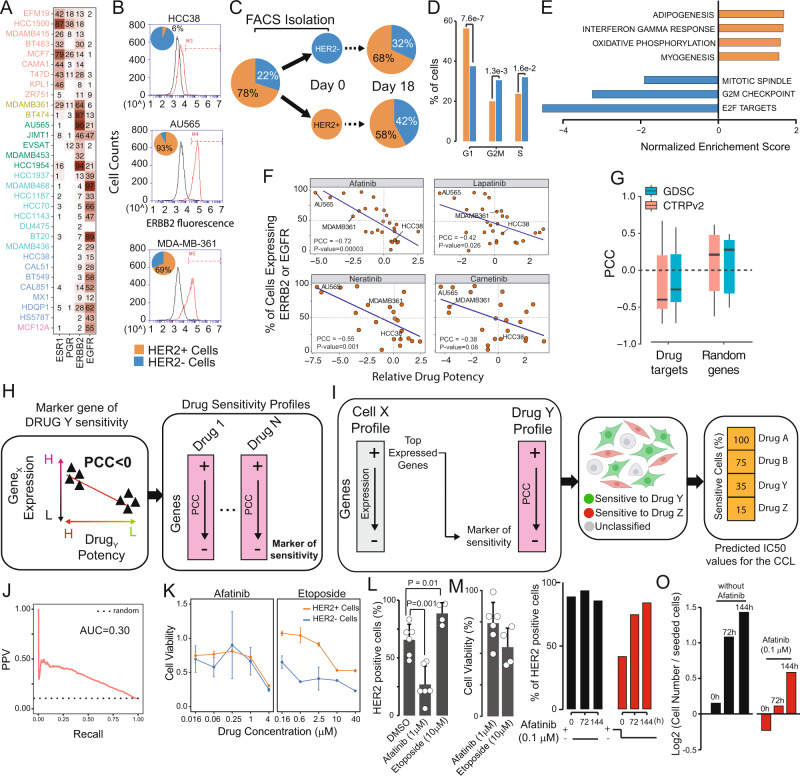 other-applications-of-single-cell-sequencing12.png