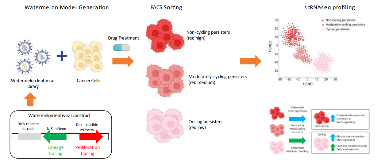 other-applications-of-single-cell-sequencing6.png