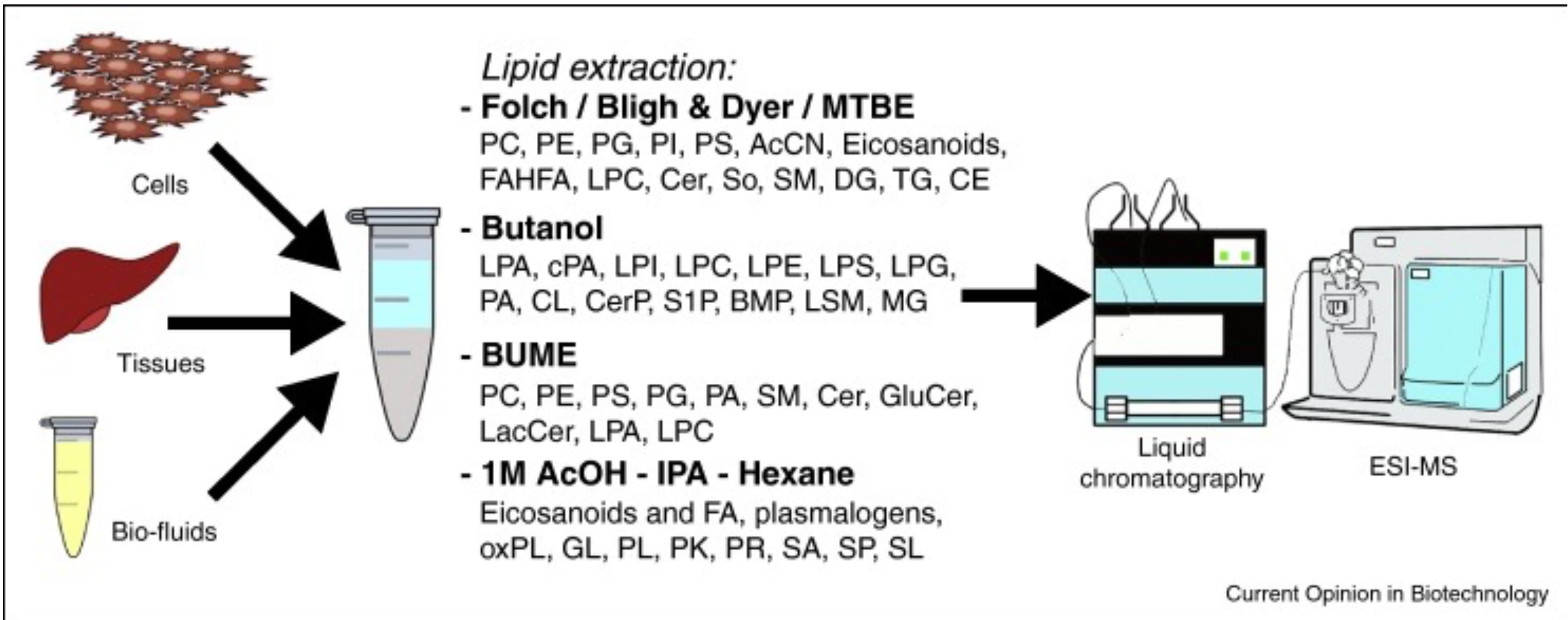 oxylipidomics2.jpg