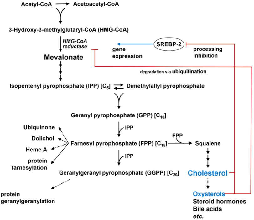 oxysterols-analysis1.PNG