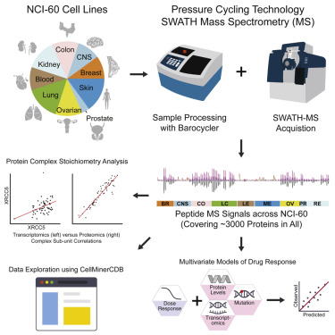 pct-dia-proteomics1.png