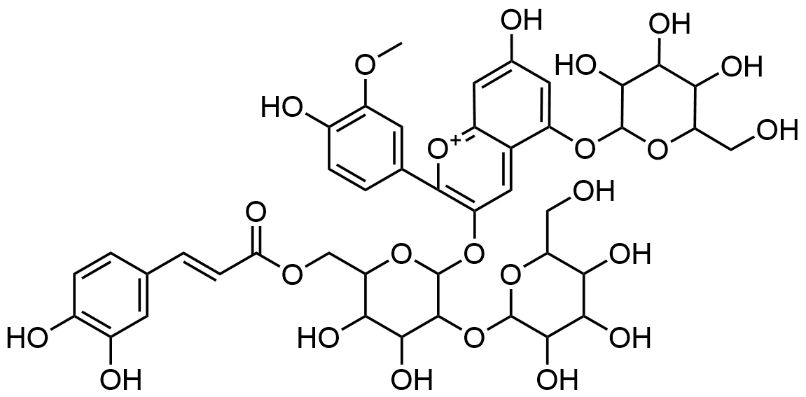 peonidin-3-caffeoyl-glucosyl-glucoside-5-glucoside-analysis-service1.png