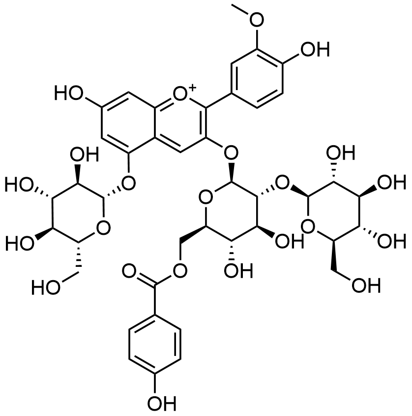 peonidin-3-o-p-hydroxybenzoylsophoroside-5-glucoside-analysis-service1.png