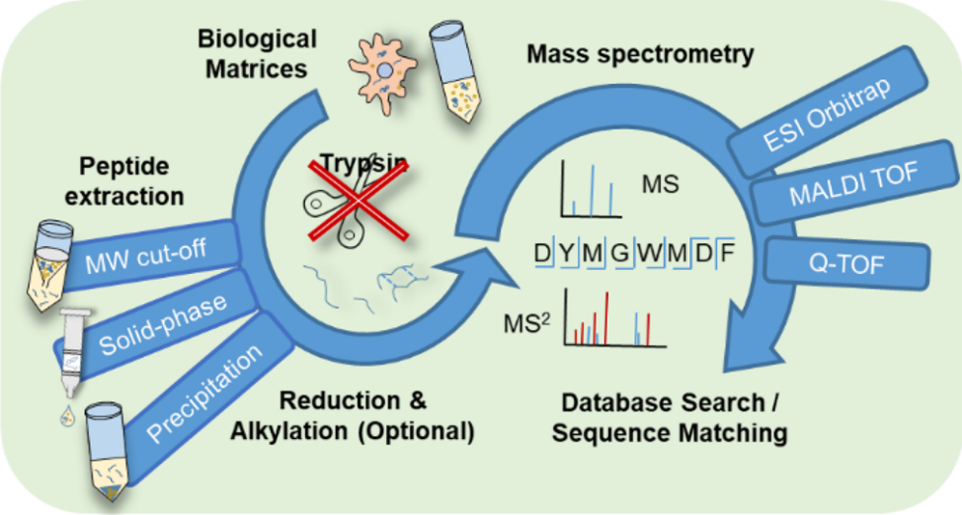 peptide-analysis-service1.PNG