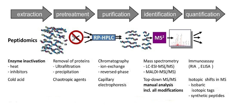 peptide-biomarkers-analysis1.png