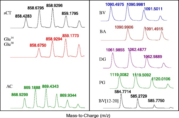 peptide-drug-analysis4.png