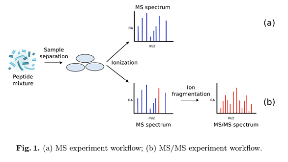 peptide-mass-spectrometry-identification1.png