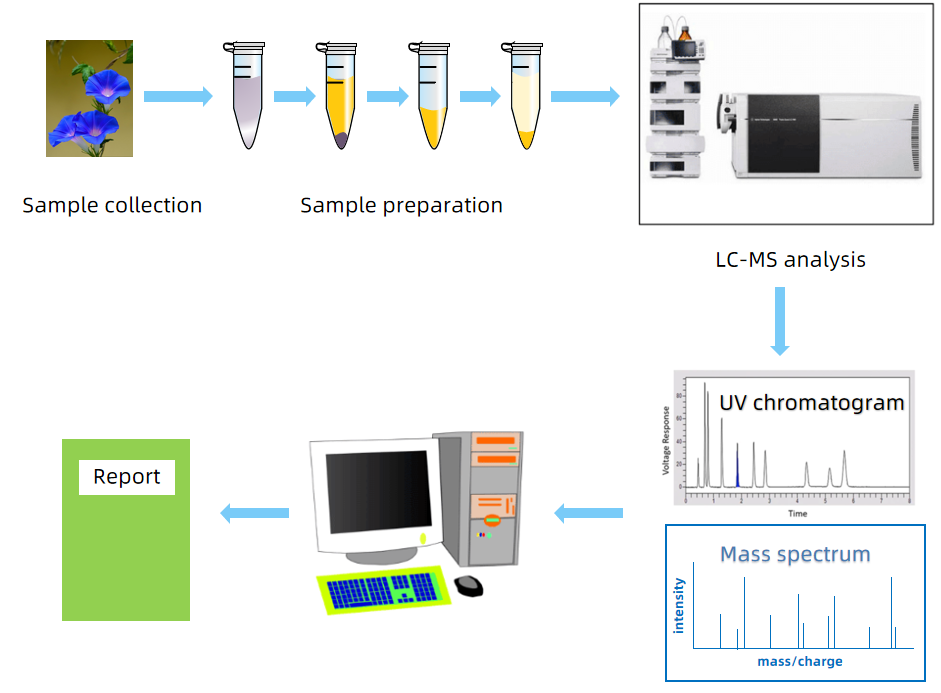 petunidin-3-o-sophoroside-analysis-service2.PNG